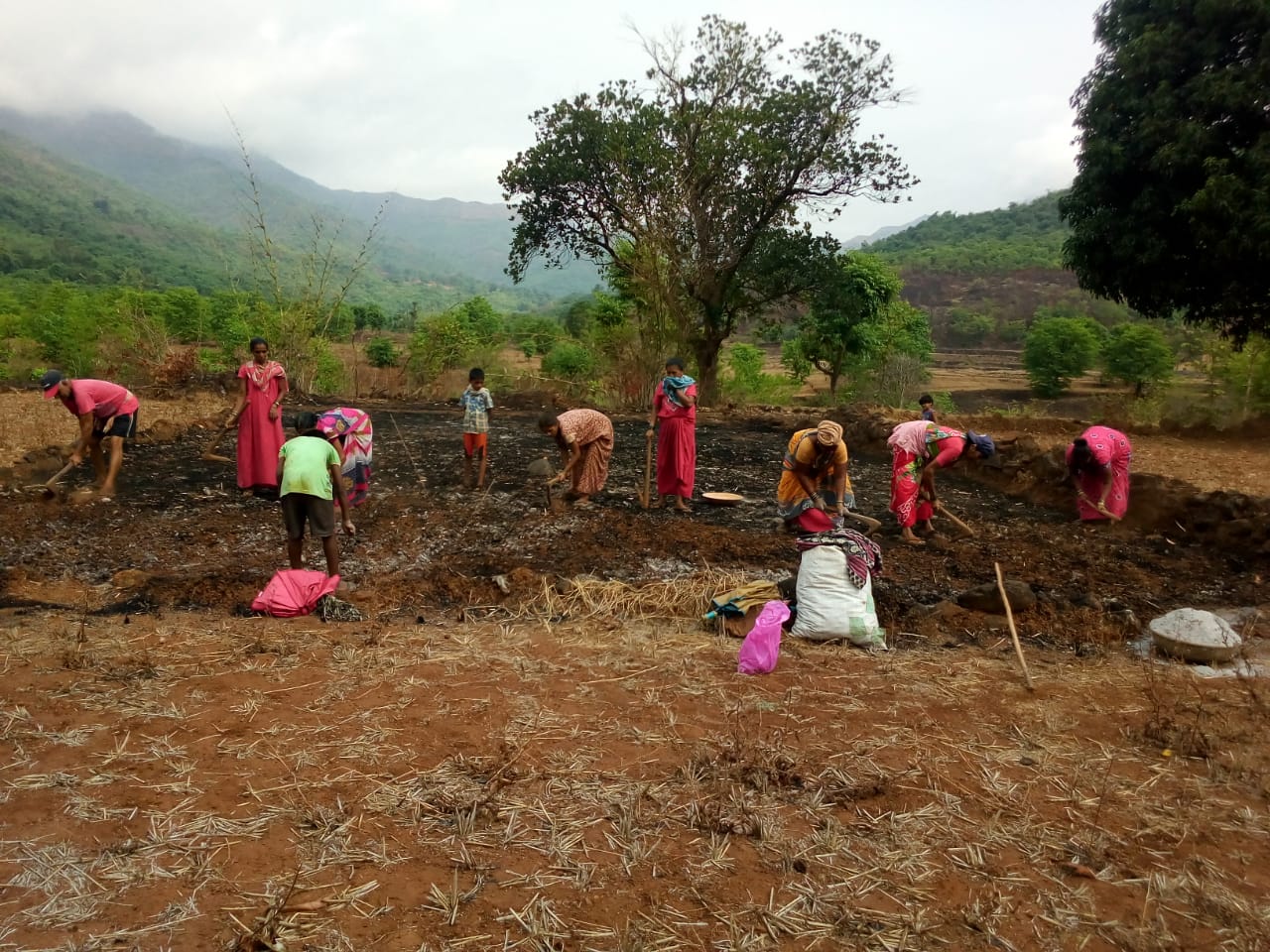 Our Projects - Rural Development Initiatives in Maharashtra | Rural ...